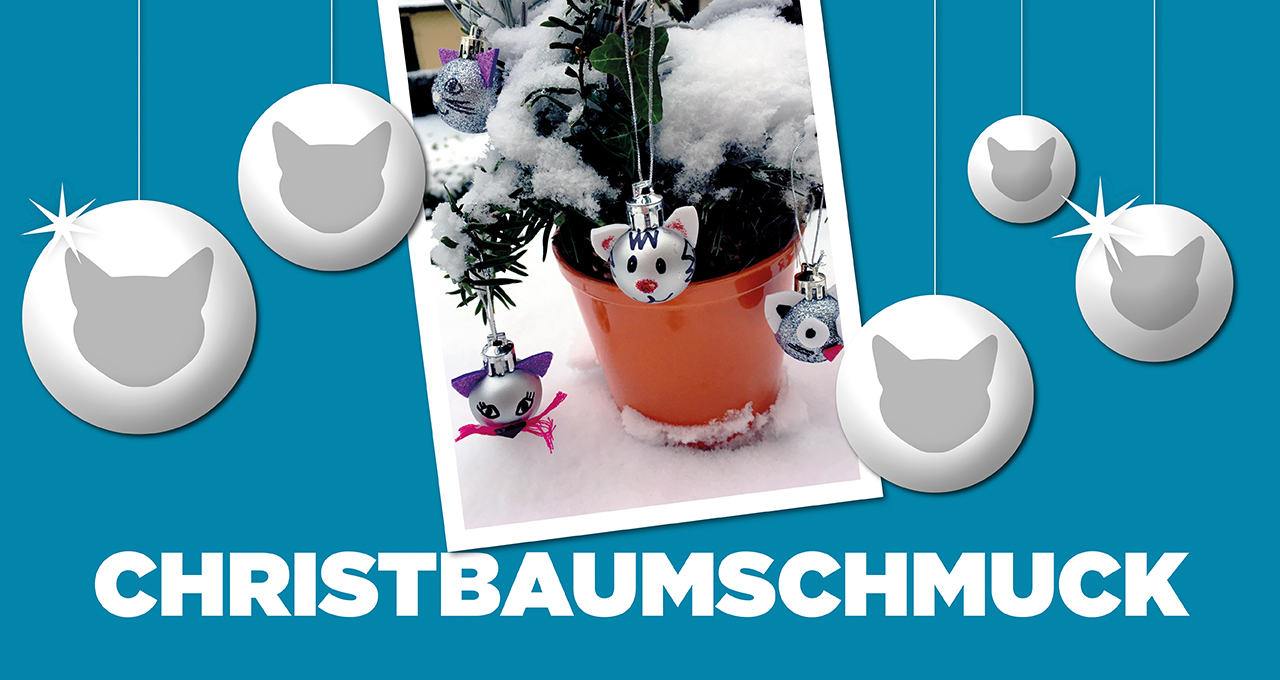 VBW JUNGES MUSICAL zu Hause | Christbaumschmuck Header © VBW